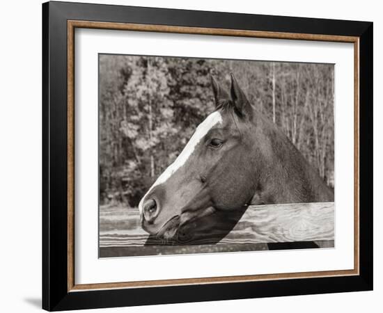 Look Out-Laura Warren-Framed Giclee Print