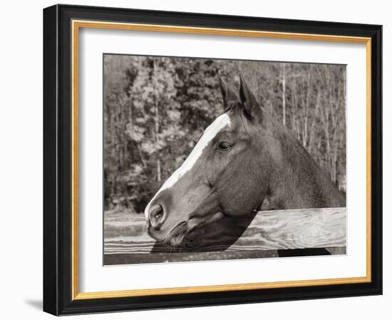 Look Out-Laura Warren-Framed Giclee Print