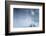 Look to the Sun-Philippe Sainte-Laudy-Framed Photographic Print