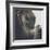 Looking a Gift Horse in the Mouth-Theo Westenberger-Framed Photographic Print