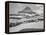 Looking Across Barren Land To Mountains From Logan Pass Glacier National Park Montana. 1933-1942-Ansel Adams-Framed Stretched Canvas