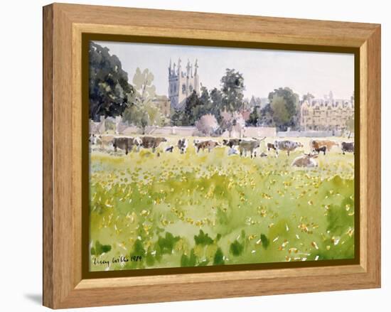 Looking across Christ Church Meadows, 1989-Lucy Willis-Framed Premier Image Canvas