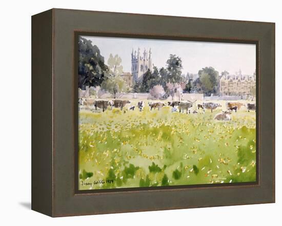 Looking across Christ Church Meadows, 1989-Lucy Willis-Framed Premier Image Canvas