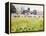 Looking across Christ Church Meadows, 1989-Lucy Willis-Framed Premier Image Canvas