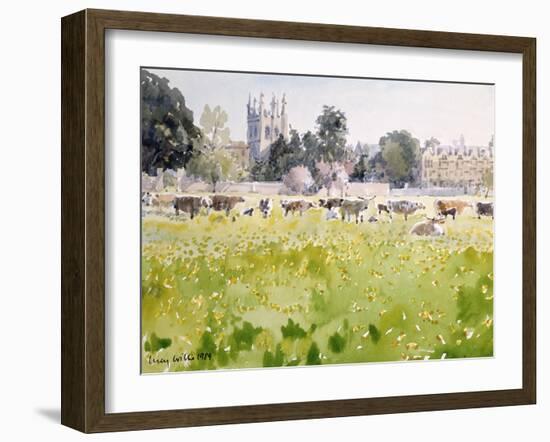 Looking across Christ Church Meadows, 1989-Lucy Willis-Framed Giclee Print