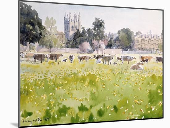 Looking across Christ Church Meadows, 1989-Lucy Willis-Mounted Giclee Print