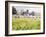 Looking across Christ Church Meadows, 1989-Lucy Willis-Framed Giclee Print