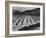 Looking Across Corn, Cliff In Bkgd "Corn Field Indian Farm Near Tuba City Arizona In Rain 1941"-Ansel Adams-Framed Art Print