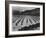 Looking Across Corn, Cliff In Bkgd "Corn Field Indian Farm Near Tuba City Arizona In Rain 1941"-Ansel Adams-Framed Art Print