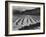 Looking Across Corn, Cliff In Bkgd "Corn Field Indian Farm Near Tuba City Arizona In Rain 1941"-Ansel Adams-Framed Art Print