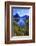 Looking across the Waters of Milford Sound Towards Mitre Peak on the South Island of New Zealand-Paul Dymond-Framed Photographic Print