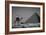 Looking Back-Dan Ballard-Framed Photographic Print