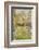 Looking Down a Grass Path with a Bed of Daffodils and Trees on Either Side-Beatrice Parsons-Framed Photographic Print