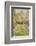 Looking Down a Grass Path with a Bed of Daffodils and Trees on Either Side-Beatrice Parsons-Framed Photographic Print