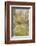 Looking Down a Grass Path with a Bed of Daffodils and Trees on Either Side-Beatrice Parsons-Framed Photographic Print