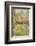 Looking Down a Grass Path with a Bed of Daffodils and Trees on Either Side-Beatrice Parsons-Framed Photographic Print