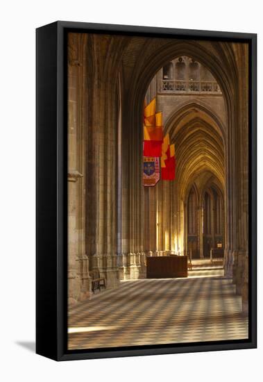 Looking Down an Aisle in Cathedrale Sainte Croix D'Orleans (Cathedral of Orleans), Loiret, France-Julian Elliott-Framed Premier Image Canvas
