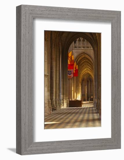 Looking Down an Aisle in Cathedrale Sainte Croix D'Orleans (Cathedral of Orleans), Loiret, France-Julian Elliott-Framed Photographic Print