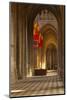 Looking Down an Aisle in Cathedrale Sainte Croix D'Orleans (Cathedral of Orleans), Loiret, France-Julian Elliott-Mounted Photographic Print