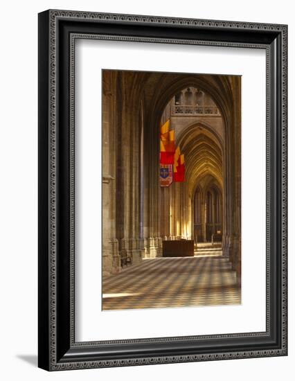 Looking Down an Aisle in Cathedrale Sainte Croix D'Orleans (Cathedral of Orleans), Loiret, France-Julian Elliott-Framed Photographic Print