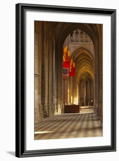 Looking Down an Aisle in Cathedrale Sainte Croix D'Orleans (Cathedral of Orleans), Loiret, France-Julian Elliott-Framed Photographic Print