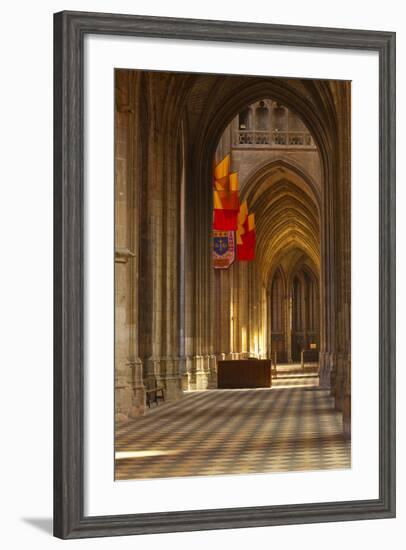 Looking Down an Aisle in Cathedrale Sainte Croix D'Orleans (Cathedral of Orleans), Loiret, France-Julian Elliott-Framed Photographic Print