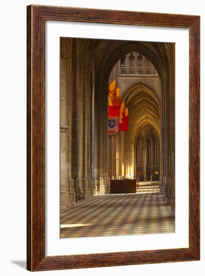 Looking Down an Aisle in Cathedrale Sainte Croix D'Orleans (Cathedral of Orleans), Loiret, France-Julian Elliott-Framed Photographic Print