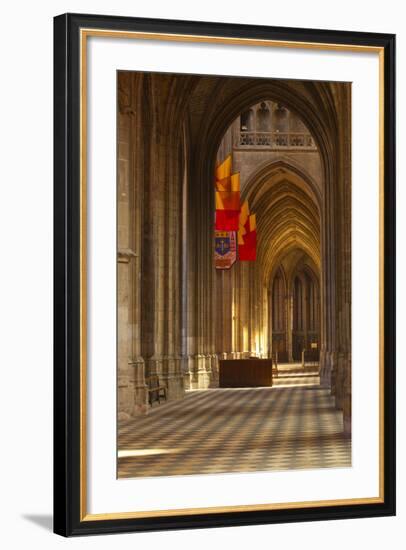 Looking Down an Aisle in Cathedrale Sainte Croix D'Orleans (Cathedral of Orleans), Loiret, France-Julian Elliott-Framed Photographic Print