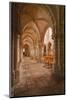 Looking Down an Aisle in the Church of Notre Dame, Saint Pere, Yonne, Burgundy, France, Europe-Julian Elliott-Mounted Photographic Print