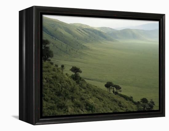 Looking Down into Ngorongoro Crater, Tanzania, East Africa, Unesco World Heritage Site-Staffan Widstrand-Framed Premier Image Canvas