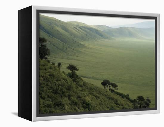 Looking Down into Ngorongoro Crater, Tanzania, East Africa, Unesco World Heritage Site-Staffan Widstrand-Framed Premier Image Canvas