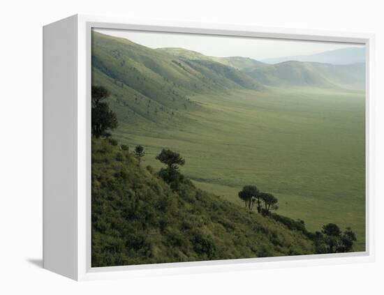 Looking Down into Ngorongoro Crater, Tanzania, East Africa, Unesco World Heritage Site-Staffan Widstrand-Framed Premier Image Canvas