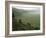 Looking Down into Ngorongoro Crater, Tanzania, East Africa, Unesco World Heritage Site-Staffan Widstrand-Framed Photographic Print