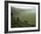 Looking Down into Ngorongoro Crater, Tanzania, East Africa, Unesco World Heritage Site-Staffan Widstrand-Framed Photographic Print