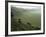 Looking Down into Ngorongoro Crater, Tanzania, East Africa, Unesco World Heritage Site-Staffan Widstrand-Framed Photographic Print