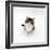 Looking Down on Domestic Cat, 7-Week Tabby and White Persian-Cross Kitten Looking Up-Jane Burton-Framed Photographic Print