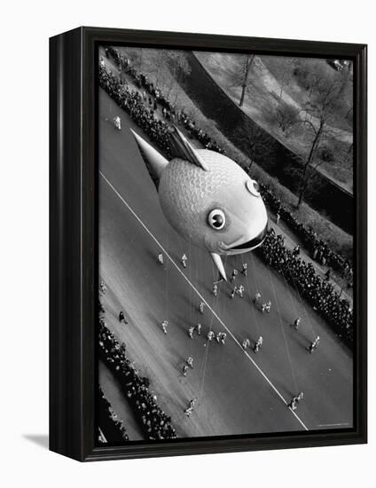 Looking Down Onto Fish Balloon and Crowds Lining Street During Macy's Thanksgiving Day Parade-John Phillips-Framed Premier Image Canvas