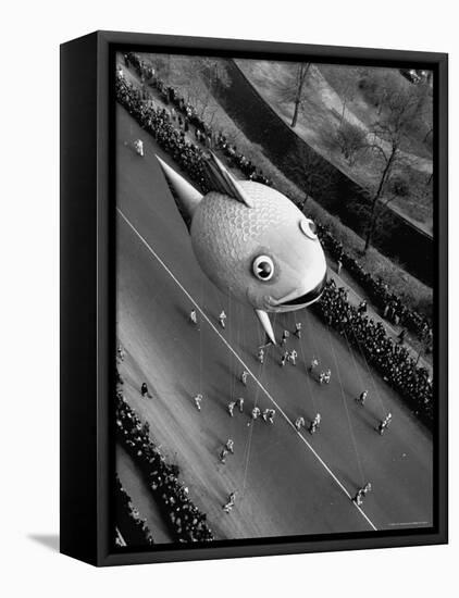 Looking Down Onto Fish Balloon and Crowds Lining Street During Macy's Thanksgiving Day Parade-John Phillips-Framed Premier Image Canvas