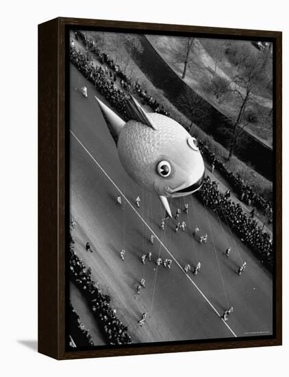 Looking Down Onto Fish Balloon and Crowds Lining Street During Macy's Thanksgiving Day Parade-John Phillips-Framed Premier Image Canvas