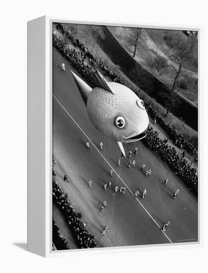 Looking Down Onto Fish Balloon and Crowds Lining Street During Macy's Thanksgiving Day Parade-John Phillips-Framed Premier Image Canvas