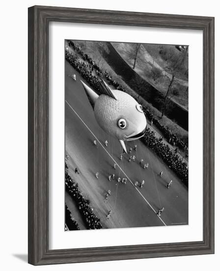 Looking Down Onto Fish Balloon and Crowds Lining Street During Macy's Thanksgiving Day Parade-John Phillips-Framed Premium Photographic Print