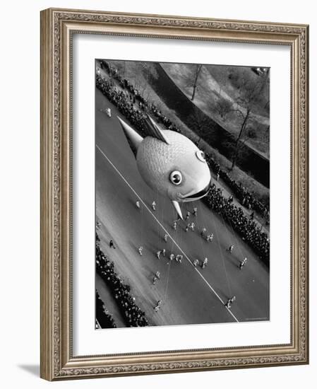 Looking Down Onto Fish Balloon and Crowds Lining Street During Macy's Thanksgiving Day Parade-John Phillips-Framed Photographic Print