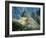 Looking Down onto the Inca City from the Inca Trail, Machu Picchu, Unesco World Heritage Site, Peru-Christopher Rennie-Framed Photographic Print