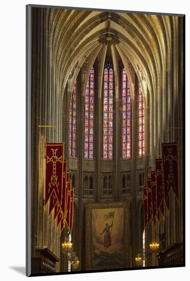 Looking Down the Nave of Cathedrale Sainte Croix D'Orleans (Cathedral of Orleans), Loiret, France-Julian Elliott-Mounted Photographic Print