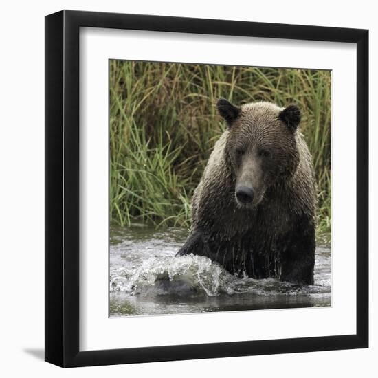 Looking for Dinner-Wink Gaines-Framed Giclee Print