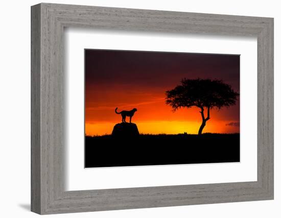 Looking for Something-Faisal ALnomas-Framed Photographic Print