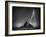 Looking for the Light-Olavo Azevedo-Framed Giclee Print