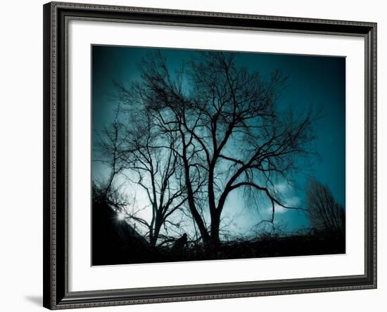 Looking for Utopia-Sharon Wish-Framed Photographic Print