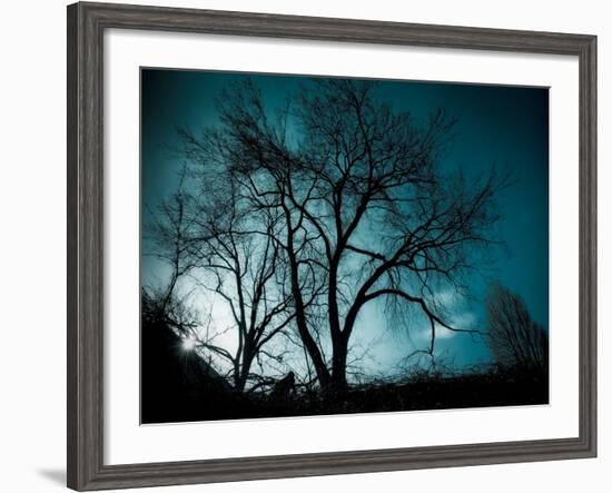 Looking for Utopia-Sharon Wish-Framed Photographic Print