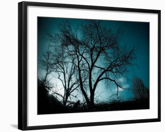 Looking for Utopia-Sharon Wish-Framed Photographic Print